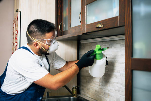Best Cockroach Control Services  in Mchenry, IL
