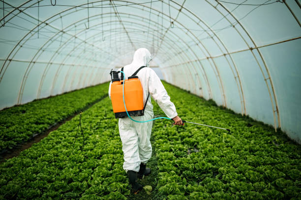 Best Emergency Pest Control  in Mchenry, IL