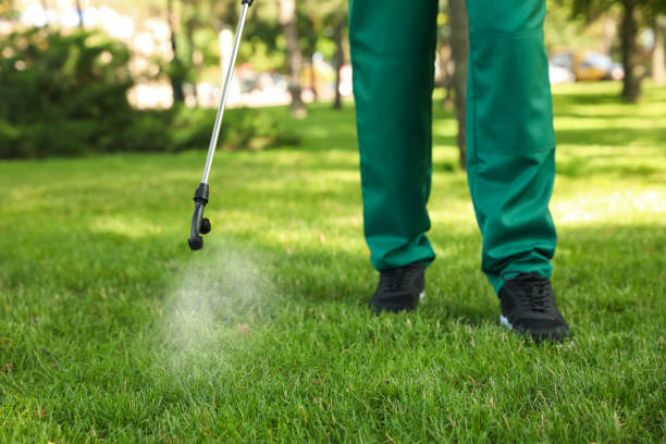 Best Pest Prevention Services  in Mchenry, IL