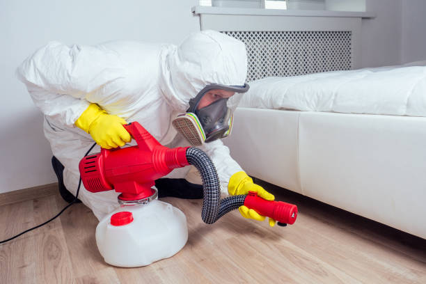 Best Affordable Pest Control Services  in Mchenry, IL