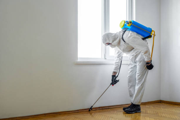Best Local Pest Control Services  in Mchenry, IL