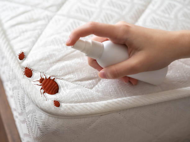 Best Ant Control Services  in Mchenry, IL