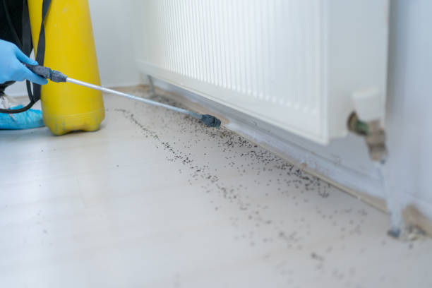Best Affordable Pest Control Services  in Mchenry, IL