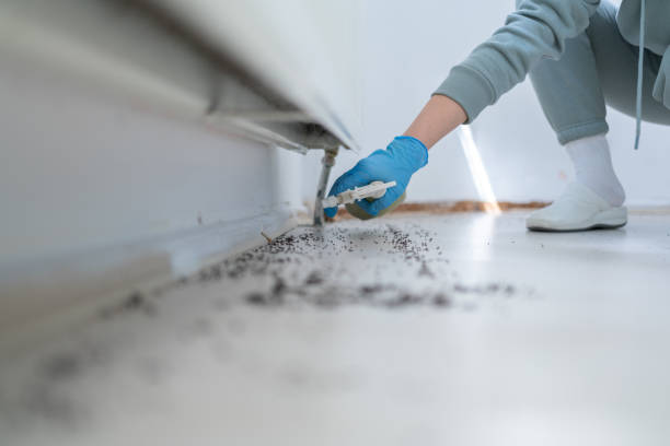 Reliable Mchenry, IL Pest Control Solutions